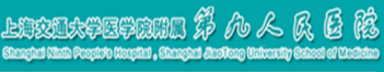 合作伙伴13