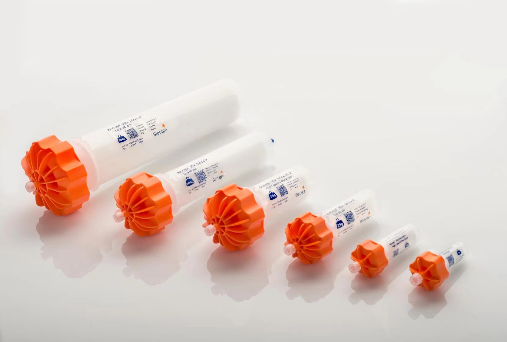 Biotage 60μm 全规格正相分离色谱柱100g